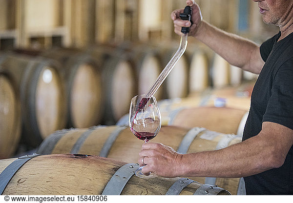 Cropped view of sommelier pouring wine from a barrel using a pipette