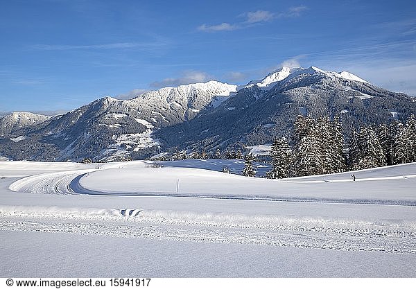 Cross-country ski run,  behind the Kellerjoch,  Tuxer Voralpen,  Tyrol,  Austria,  Europe