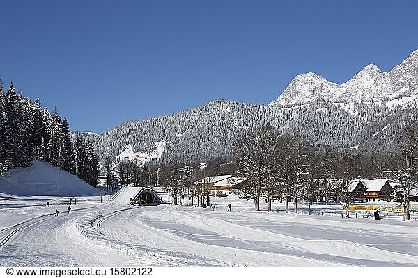 Cross-country ski run  Ramsau am Dachstein with Dachstein massif  Styria  Austria  Europe