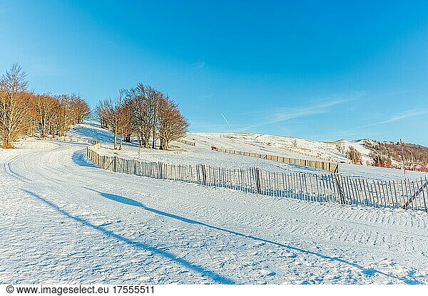 Cross-country ski trail in the snowy mountain on a sunny day. France  Vosges
