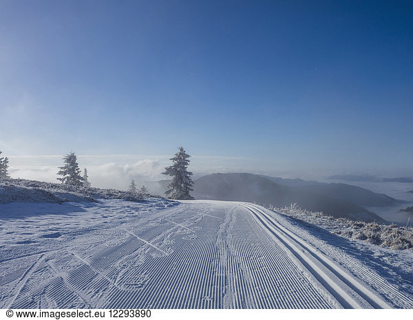 Cross country skiing track on winter landscape  Black Forest  Mount Feldberg  Germany
