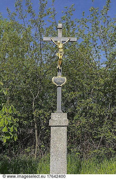 Crucifix in the district of Saalau  Wittichenau  Saxony  Germany  Europe