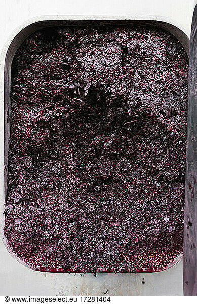 Crushed grapes in storage tank at winery
