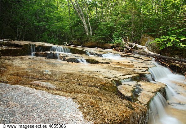 Crystal Brook in the Pemigewasset Wilderness of Lincoln  New Hampshire USA