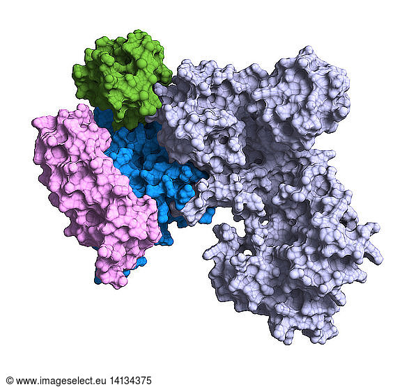 Crystal Structure of apo-Cas9 Crystal Structure of apo-Cas9,biochemical ...