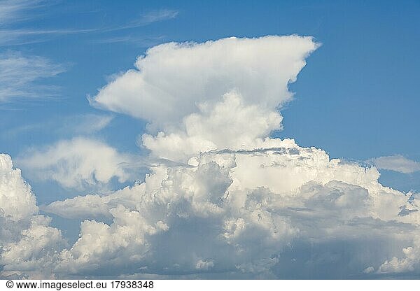 Cumulonimbus  thundercloud against blue sky  Germany  Europe