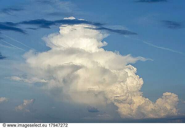 Cumulonimbus  thundercloud against blue sky  Germany  Europe