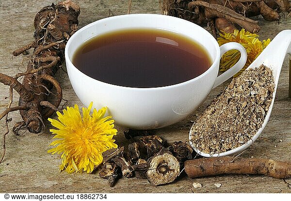 Cup Dandelion Root (Taraxacum officinale) (Taraxacum vulgare)  Dandelion Root Coffee  Dandelion Root Coffee  Dandelion  Common Cowflower