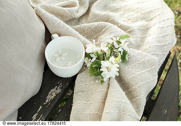 Cup filled with water kept by white flowers on blanket on bench