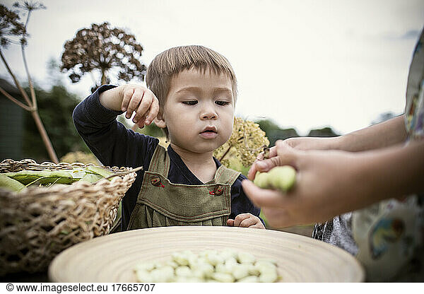 Curious boy shelling beans with mother