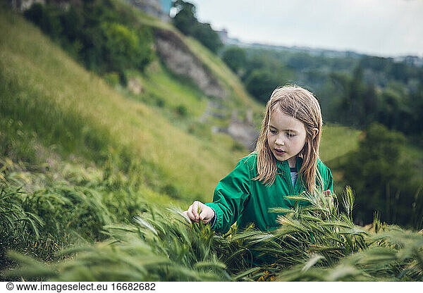 Curious Child Touching Tall Grass on a Hillside in Belgrade  Serbia