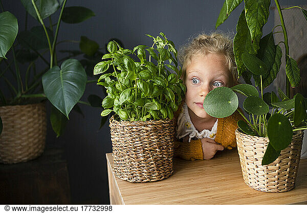 Curious girl looking amidst potted plants on table
