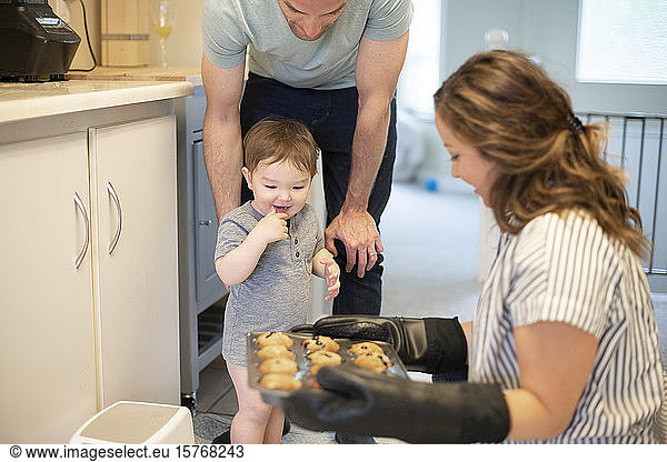 Curious toddler girl watching mother bake muffins in kitchen