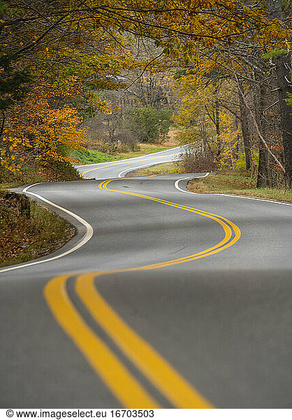 Curvy Vermont country Road winds through late season foliage arch