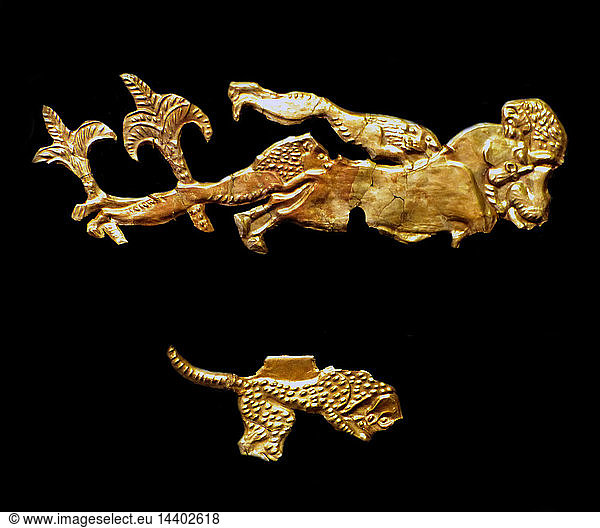 Cut-outs depicting lions attacking a bull among palm trees.