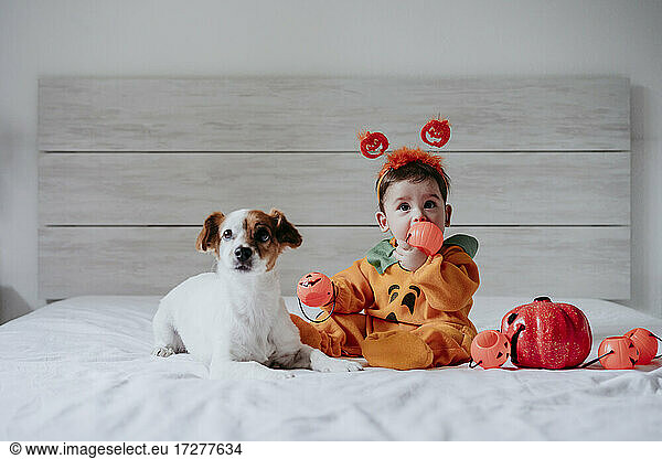 Cute baby boy putting toy in mouth sitting with dog on bed at home