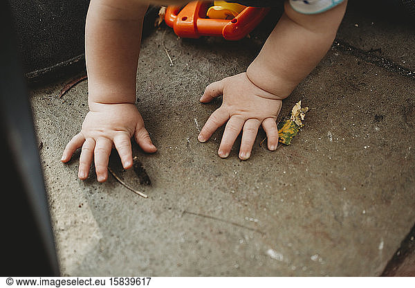 Cute baby hands exploring in the garden