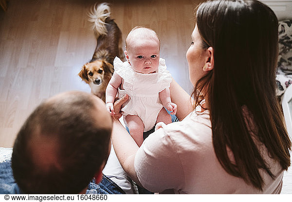 Cute baby with parents and dog in living room at home