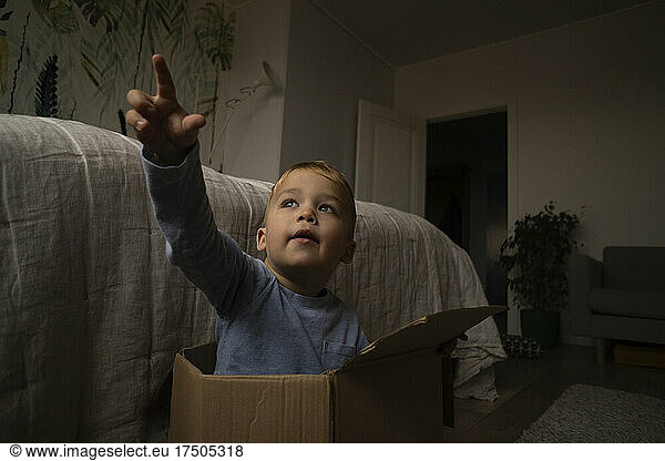 Cute boy gesturing inside cardboard box at home