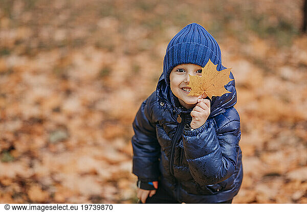 Cute boy holding maple leaf near face at autumn park