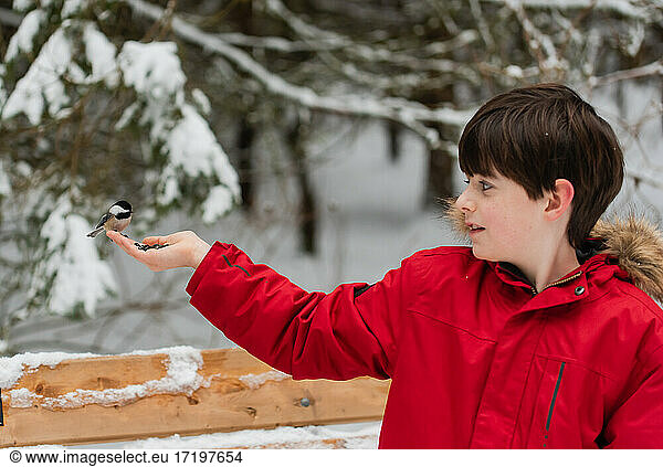 Cute boy in red coat feeding bird from his hand on snowy winter day.