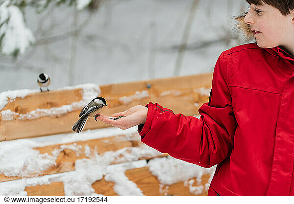 Cute boy in red coat feeding birds from his hand on snowy winter day.
