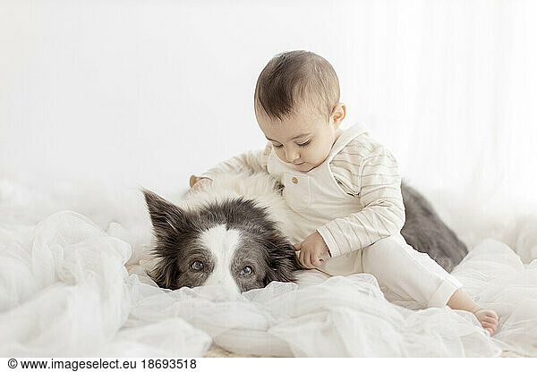 Cute boy sitting with Border Collie in front of white wall
