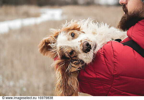 Cute dog chilling in the hands of man  winter scene
