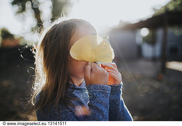 Cute girl hiding face with leaves on sunny day