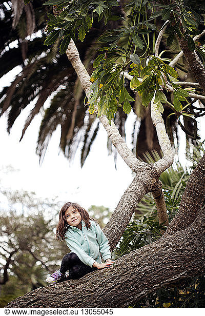 Cute girl sitting on tree trunk against sky