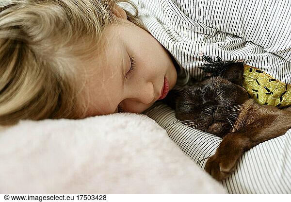Cute girl sleeping with Burmese cat on bed at home