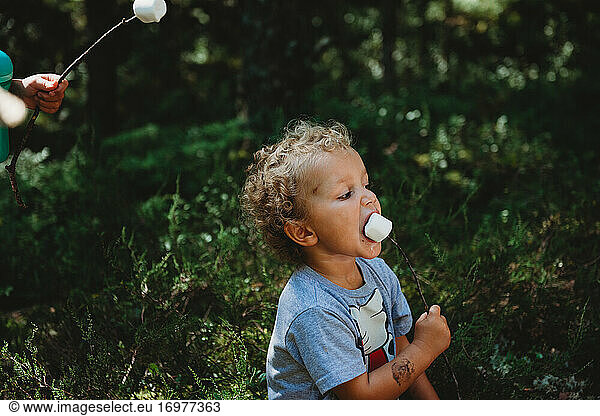 Cute little boy eating marshmallows in stick getting messy at forest