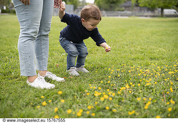 Cute unschuldigen Kleinkind Mädchen pflücken Blumen im Park Gras