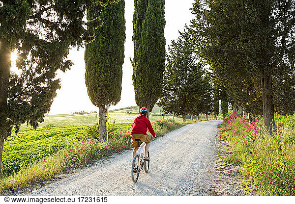 Cyclist on a tree lined dirt road at sunset  Tuscany