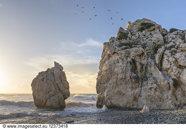 Cyprus  Paphos  Petra tou Romiou also known as Aphrodite’s Rock at sunrise.