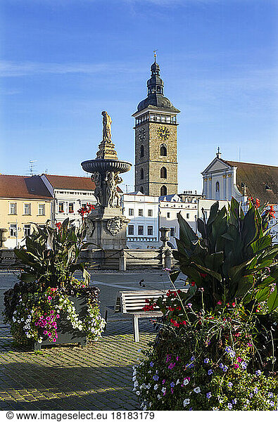 Czech Republic  South Bohemian Region  Ceske Budejovice  Samson Fountain on Premysl Otakar II Square with Black Tower in background