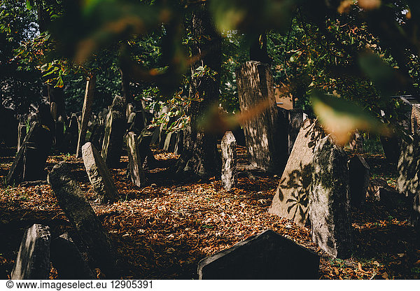Czechia  Prague  tombstones on the old Jewish Graveyard