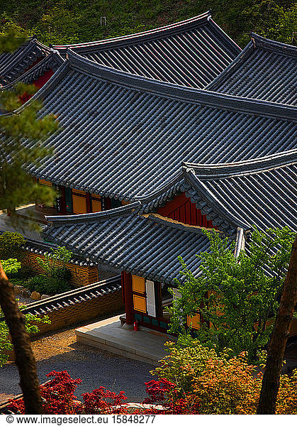 Dächer eines buddhistischen Tempels in Südkorea