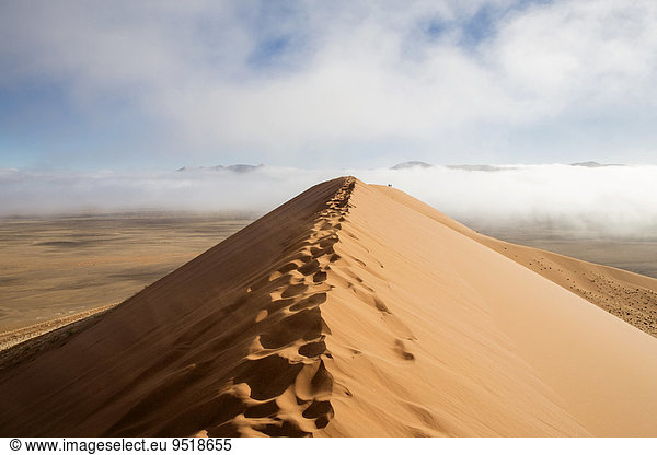 Düne 45 mit Morgennebel  Sanddünen  Sossusvlei  Namib-Wüste  Namibia  Afrika