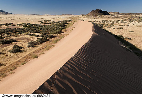 Düne  Namibia  Afrika  Damaraland