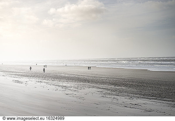 Dänemark  Henne Strand  Spaziergänger am Strand