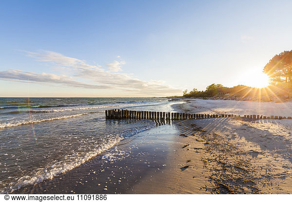 Dänemark  Mon Island  Ostsee  Strand bei Sonnenuntergang