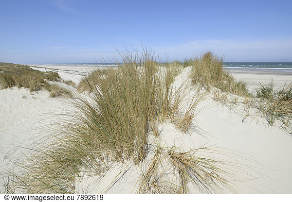 Dünen am Strand