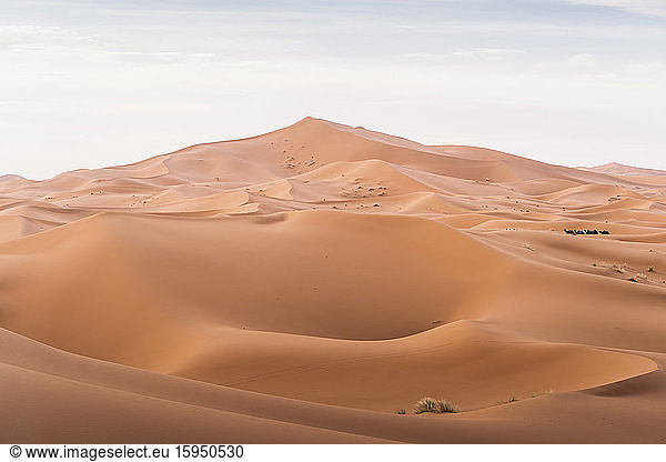 Dünen der Merzouga-Wüste  Marokko