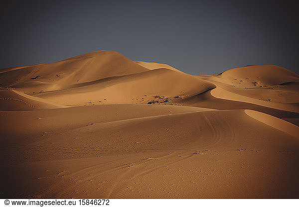 Dünen der Sahara-Wüste bei Sonnenuntergang