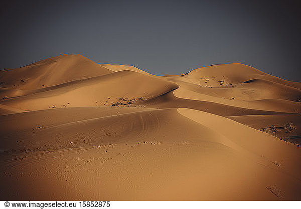 Dünen der Sahara-Wüste bei Sonnenuntergang