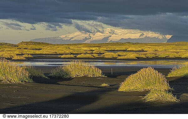 Dünenlandschaft im Morgenlicht  im Hintergrund der Vatnajökull  Vestrahorn  Höfn  Austurland  Island  Europa