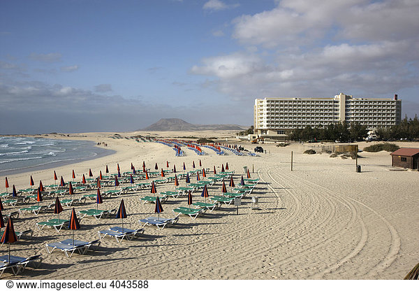 Dünenstrand Liegeplätze Grandes Playas im Norden der Insel bei Corralejo Fuerteventura Kanarische Inseln Spanien Europa