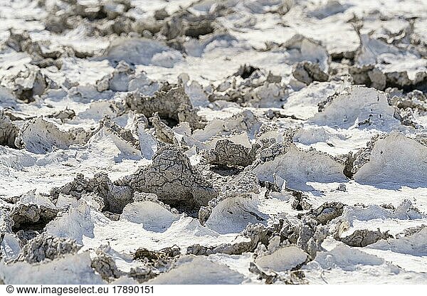 Dürre Schlammmuster mit Rissen im Boden  Details  Klimawandel. Etosha-Nationalpark  Namibia  Afrika