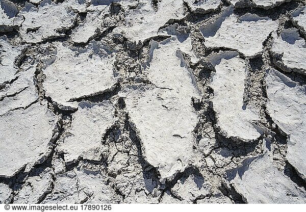Dürre Schlammmuster mit Rissen im Boden  Klimawandel. Etosha-Nationalpark  Namibia  Afrika